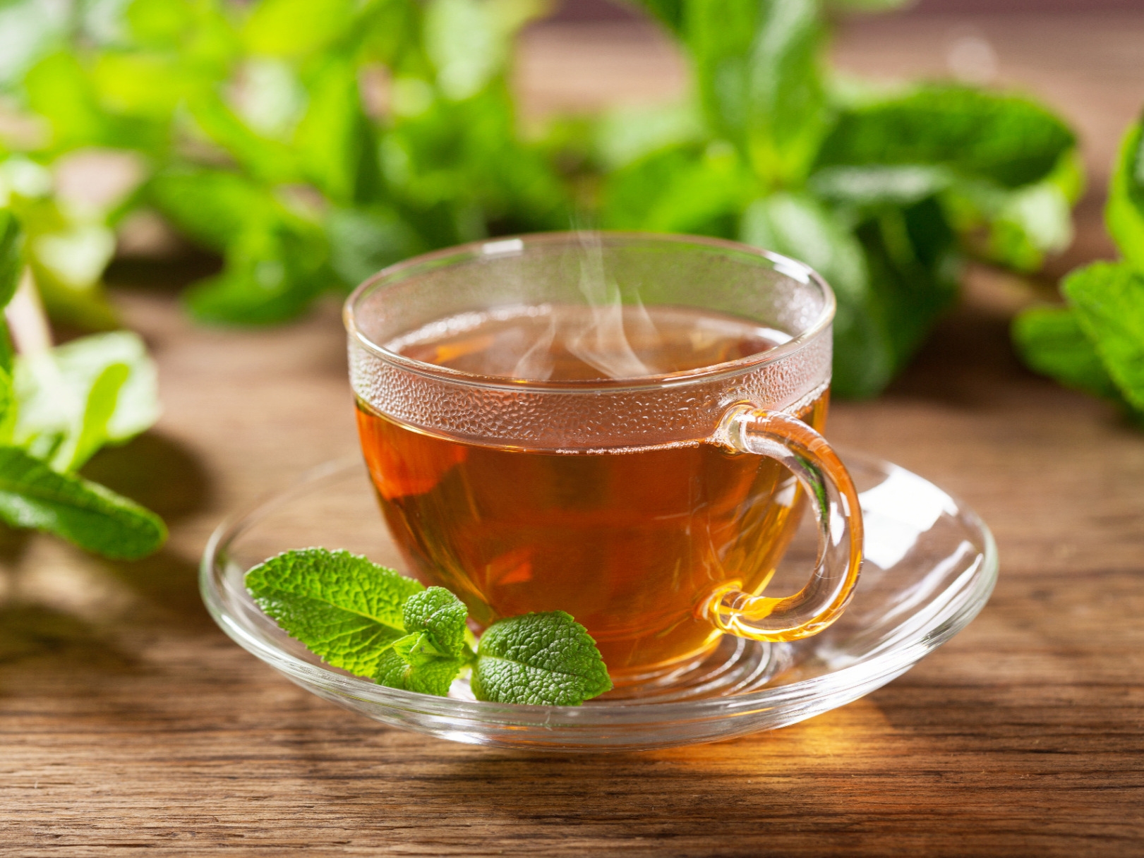 فوائد شرب النعناع علاج لمشكلة صحية منتشرة بكثرة 2 فوائد شرب الشاي بالنعناع