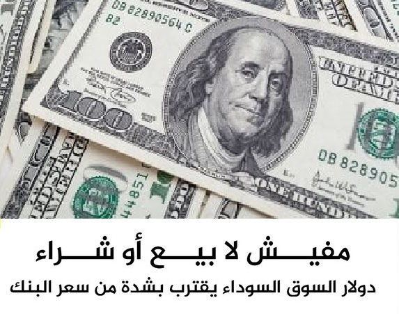 سعر الدولار اليوم 17 سبتمبر 2025 بعد هبوط الأخضر في البنوك 4 سعر الدولار اليوم