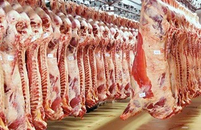 بأمر القانون والطب لا تشتري هذه اللحوم مدير المجازر تكشف كواليس التلاعب باللحمة في الموسم الرمضاني 5 اللحوم