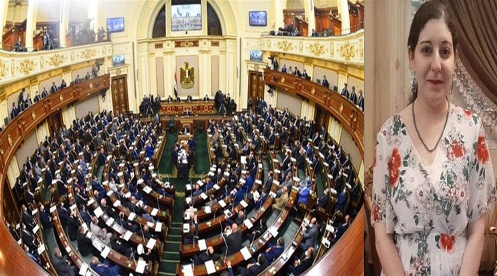 اجراء من عضو مجلس النواب ضد تطبيق نظام الشريحة الموحدة للعدادات الكودية بالكهرباء 3 مجلس النواب