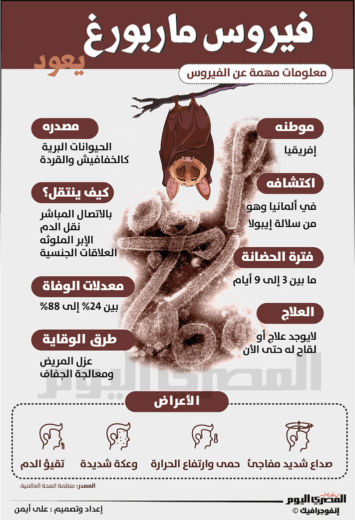 مخاوف وتحذيرات علمية من وباء جديد يسكن الكهوف فيروس ماربورغ 3 فيروس ماربورغ