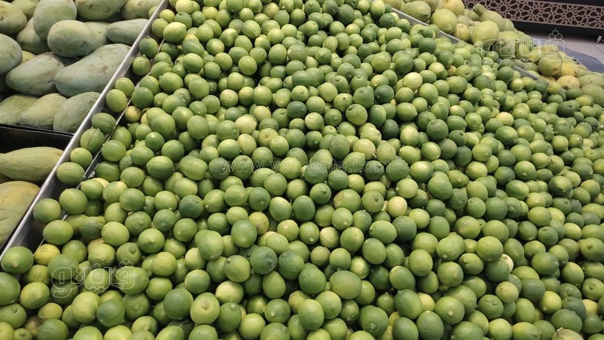 موعد انخفاض سعر الليمون بالأسواق الكيلو بـ90 جنيها 2 ارتفاع أسعار الليمون
