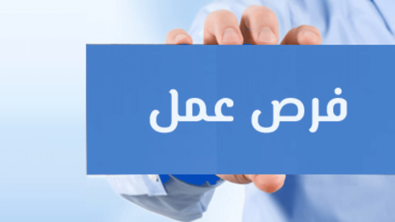 وزارة العمل المصرية تكشف عن 3800 فرصة عمل برواتب مجزية توظيف فوري 4 فرص عمل
