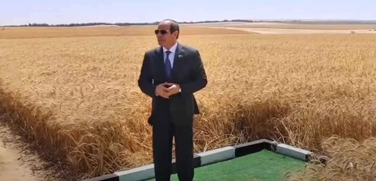 رسالة قوية من الرئيس السيسي لـ ترامب بسبب حرب غزة وإنهاء معاناة الفلسطينيين 4 الرئيس السيسي