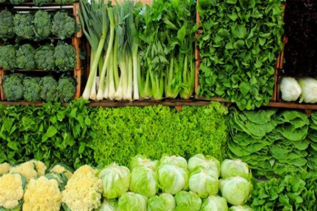 احذر من 3 خضروات هتتعب معدتك ابتعد عن تناولها في طقس حر الصيف 4 الخضراوات الورقية