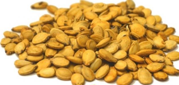 أضرار وفوائد تناول اللب بمختلف أنواعه على صحة الجسم احذر المملح 3 أضرار وفوائد تناول اللب