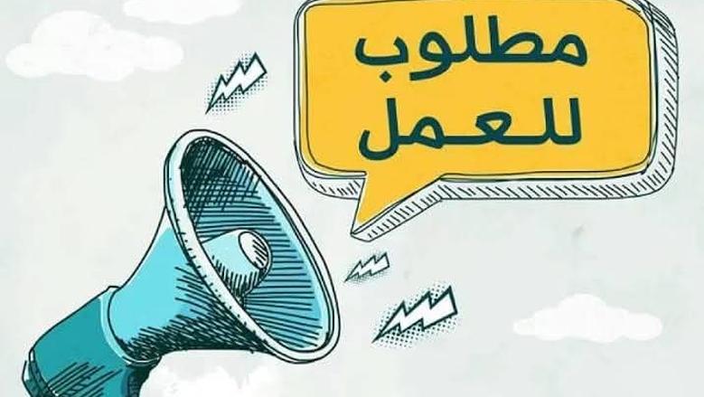 وزارة الشباب والرياضة تعلن عن فرص عمل متاحة في مختلف التخصصات براتب كبير 5 فرصة عمل جديدة