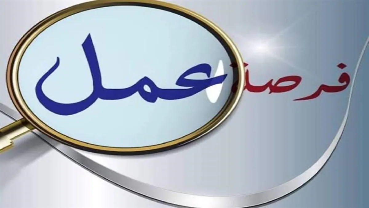 وزارة العمل تعلن عن 850 فرصة عمل في سلسلة محلات شهيرة بـ 6أكتوبر اعرف التفاصيل 4 وزارة العمل عن فرص عمل للأطباء