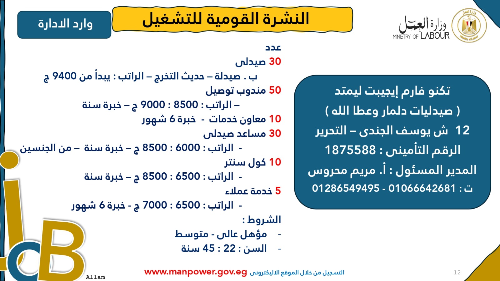 2949 فرصة عمل متاحة للشباب في 10 محافظات طالع التفاصيل 4 فرصة عمل