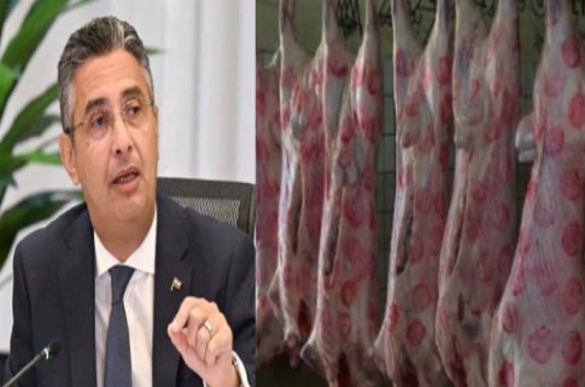 وزير التموين يرد على سؤال يشغل بال الكثير هل قيمة الدعم النقدي ستظل ثابتة عند 50 جنيهًا للفرد 3 وزير التموين
