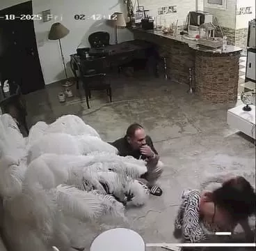 كواليس إخلاء سبيل البلوجر هدير عبد الرازق وجلسة حاسمة تنتظرها 2 إخلاء سبيل البلوجر هدير عبد الرازق2
