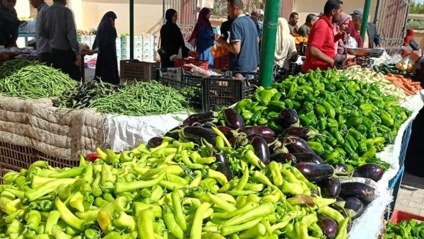 شعبة الخضروات والفاكهة توجه رسالة للمواطنين محدش يشتري بسعر غالي 4 الخضروات والفاكهة