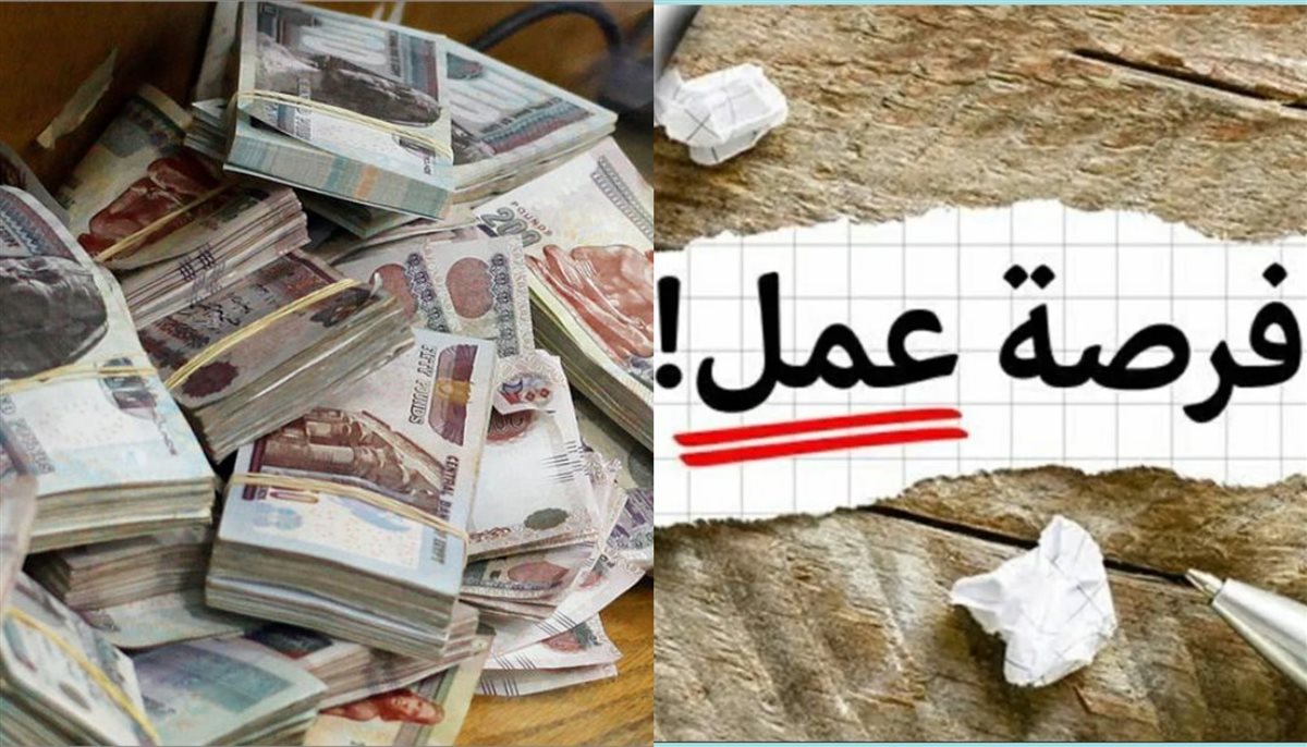 رواتب تصل لـ20 ألف جنيه وزارة العمل تعن عن وظائف فرص ذهبية للشباب اعرف طريقة التقديم 4 وزارة العمل عن توفر فرص