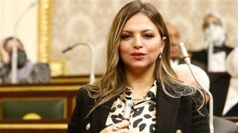 عضو مجلس النواب يتقدم بسؤال برلماني بشأن عدم انخفاض الأسعار رغم تراجع الدولار 3 مي أسامة رشدي عضو مجلس النواب