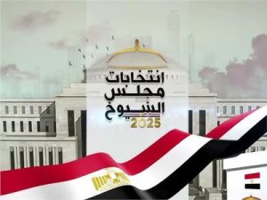 البابا تواضروس يشارك في انتخابات مجلس الشيوخ ويكشف مواصفات اختياره لعضو المجلس 4 انتخابات مجلس الشيوخ