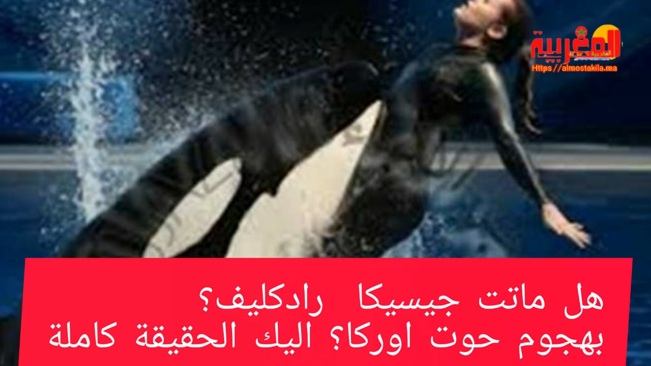 حقيقة وفاة جيسيكا رادكليف بهجوم حوت أوركا إليك التفاصيل كاملة 2 جيسيكا رادكليف و حوت أوركا