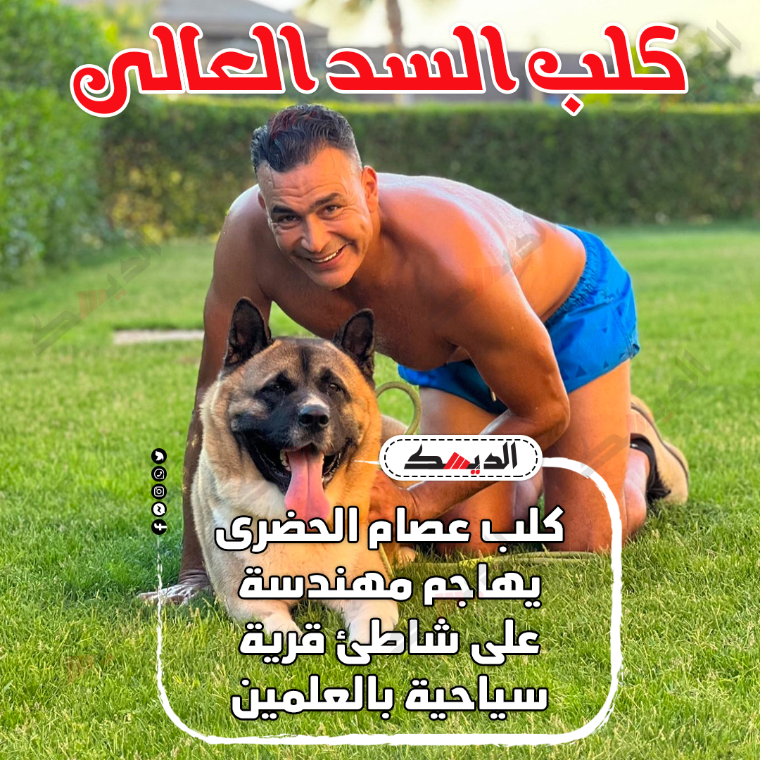 تفاصيل عقر كلب عصام الحضري لمهندسة في العلمين 2 كلب عصام الحضري
