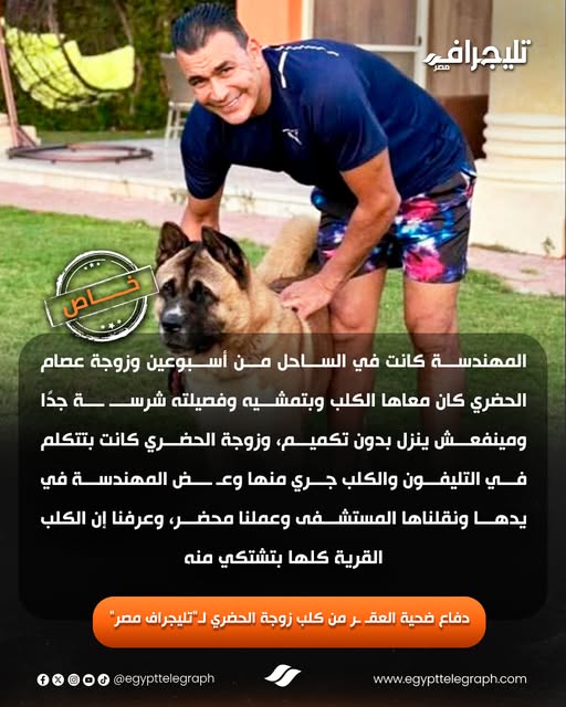 تفاصيل عقر كلب عصام الحضري لمهندسة في العلمين 4 كلب عصام الحضري