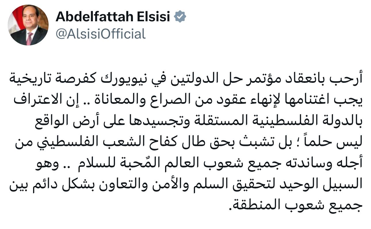 فرصة تاريخية تعليق الرئيس السيسي بشان مؤتمر حل الدولتين في نيويورك 3 الرئيس السيسي بشان مؤتمر حل الدولتين