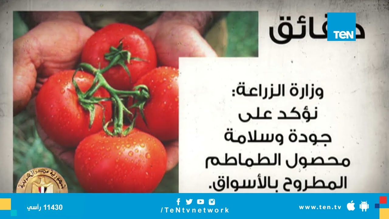 وزارة الزراعة توضح حقيقة انتشار طماطم مسرطنة بالأسواق بسبب لونها الأبيض من الداخل 3 وزارة الزراعة تنفى انتشار طماطم مسرطنة