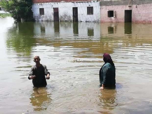 وزارة الري تكشف تفاصيل فيضان النيل وحقيقة غرق أراضي طرح النهر 4 غرق أراضي ومنازل طرح النهر