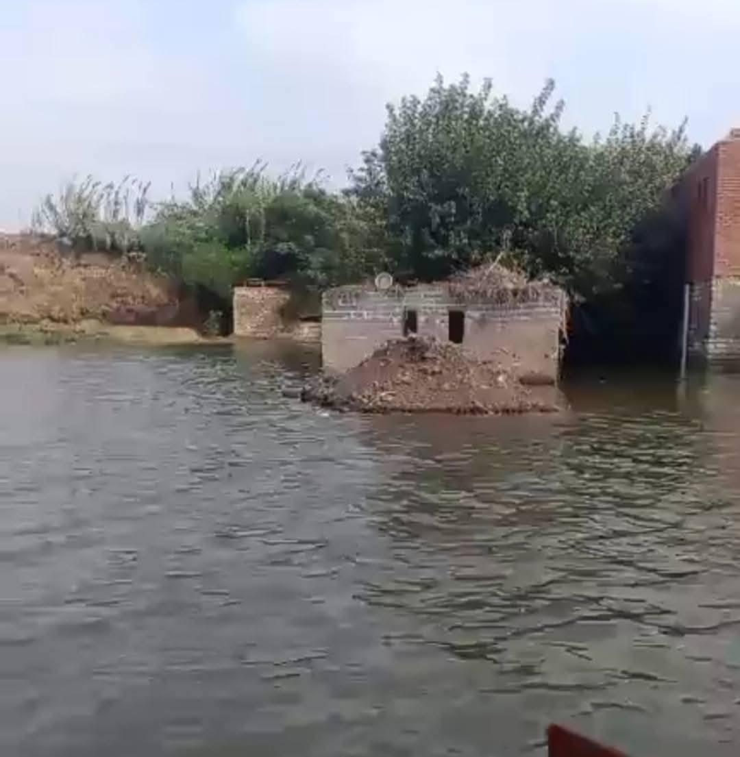 غضب النيل يجتاح الدلتا فيضانات غير مسبوقة تغرق منازل وأراضي 3 غرق أراضي ومنازل طرح النهر