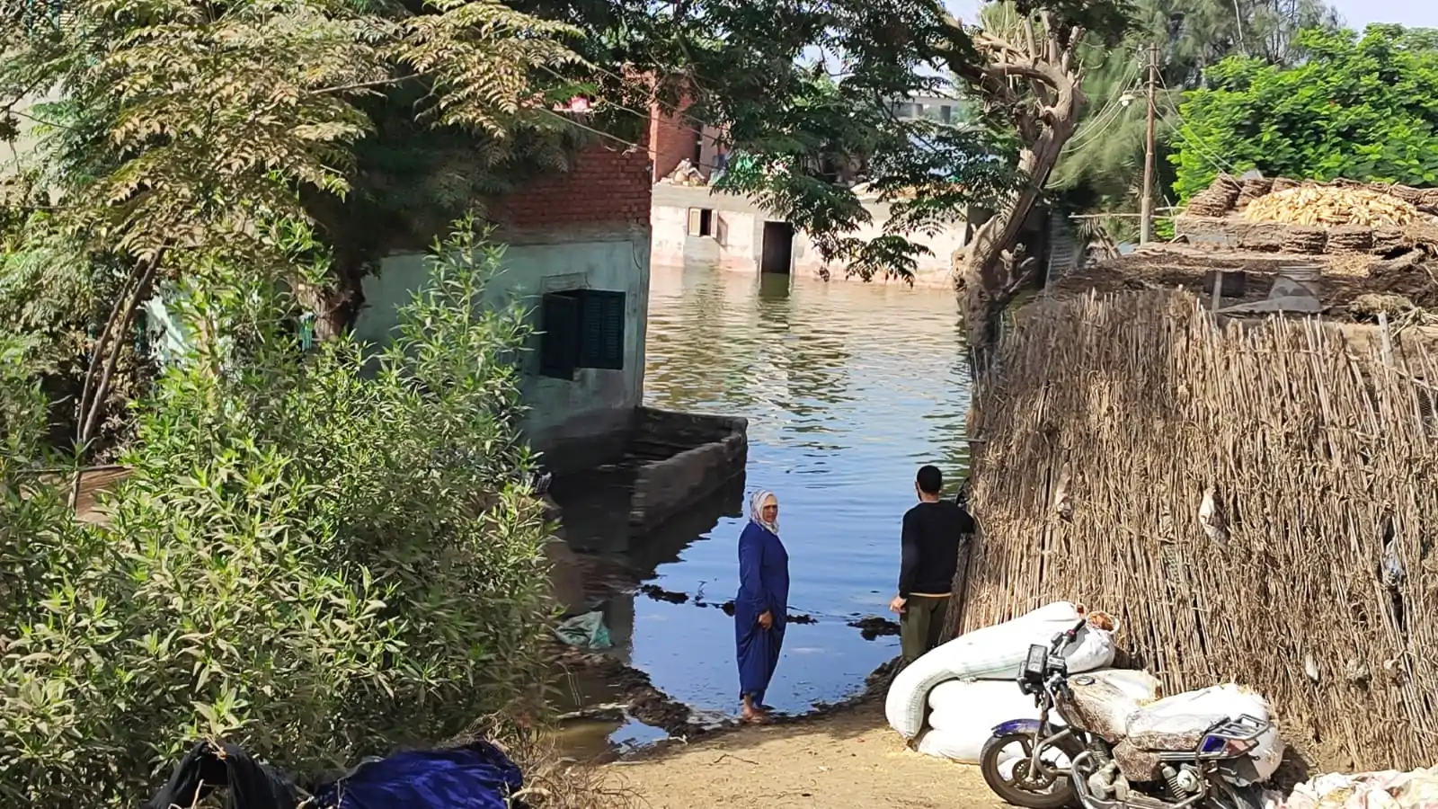 غضب النيل يجتاح الدلتا فيضانات غير مسبوقة تغرق منازل وأراضي 4 غضب النيل يجتاح الدلتا