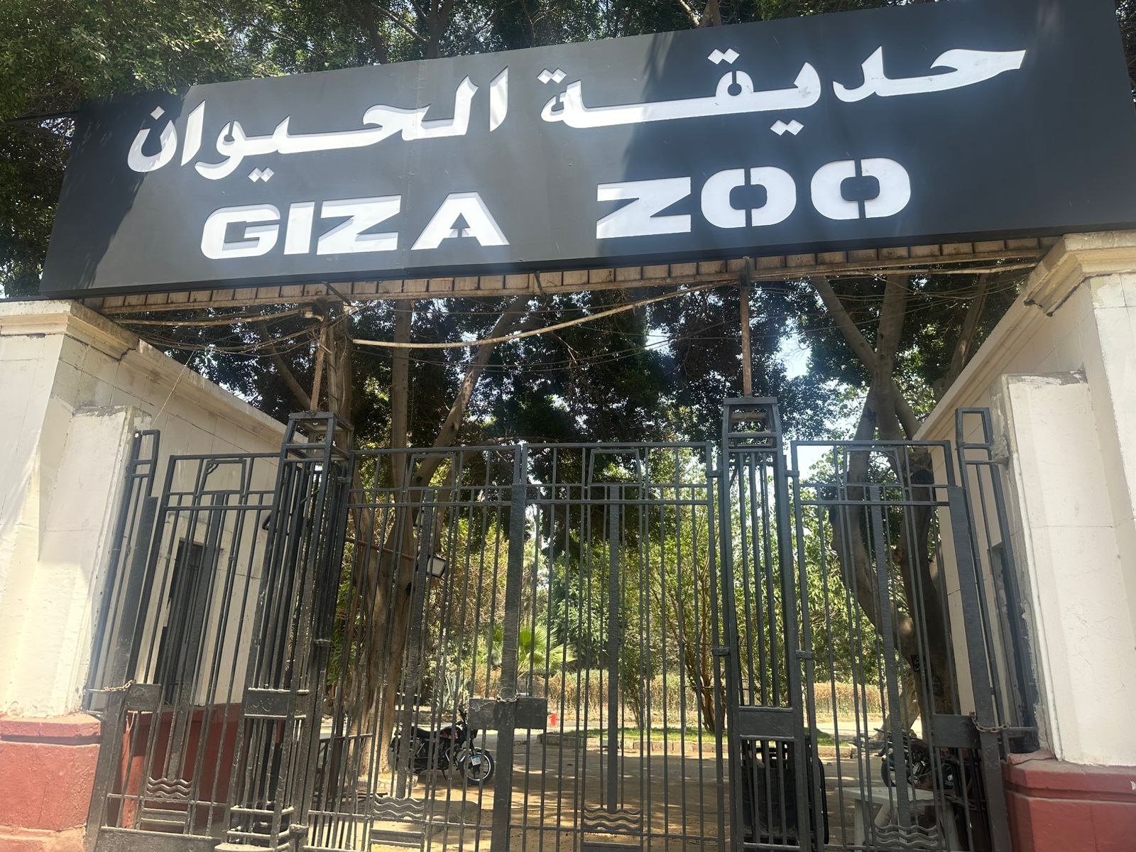 أكبر تحول في تاريخ حديقة الحيوان مشروع تطوير شامل يحوّلها إلى وجهة عالمية 2 تطوير حديقة الحيوان