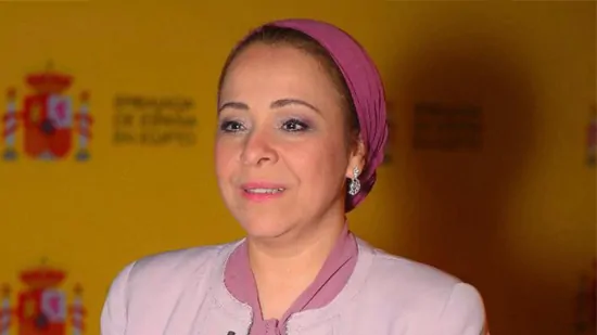نهاد أبو القمصان رئيسة المركز المصري لحقوق المرأة عن احداث قريةالجلف ضربة لقيم دولة القانون وانتصار للعرف 3 نهاد أبو القمصان رئيسة المركز المصري لحقوق المرأة