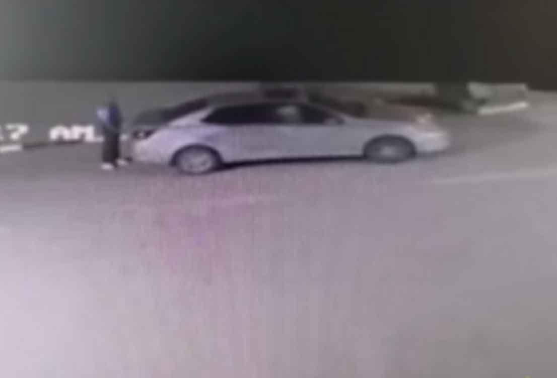 صاحب فيديو التخلص من كلاب حدائق الأهرام الملثم يشعل التحقيقات باعترافاته 4 فيديو قتل كلاب الأهرام