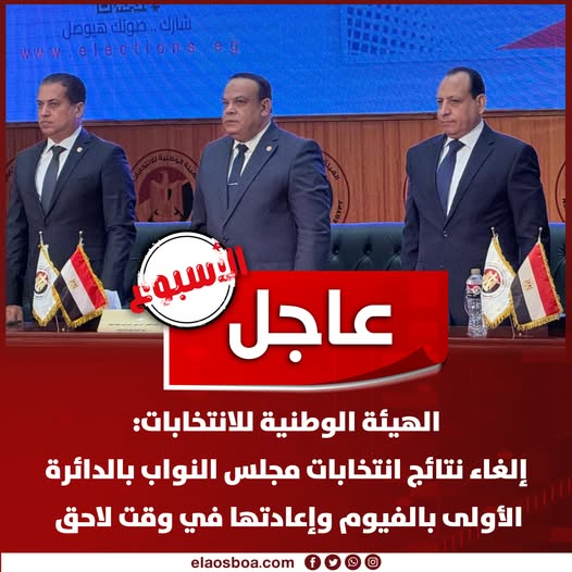 أسباب إلغاء نتائج انتخابات مجلس النواب فى 19 دائرة تفاوتات فى الحصر العددى 3 إلغاء نتائج انتخابات مجلس النواب