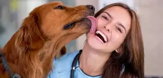 مخاطر تقبيل الحيوانات الأليفة تهدد حياتك هذه الأكثر عرضة للإصابة 3 مخاطر تقبيل الحيوانات الأليفة