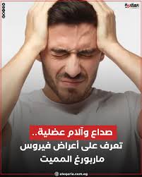 كيفية الوقاية من فيروس ماربورج فى خطوات بسيطة ننشر لكم اعراض المرض 3 أعراض فيروس ماربورج