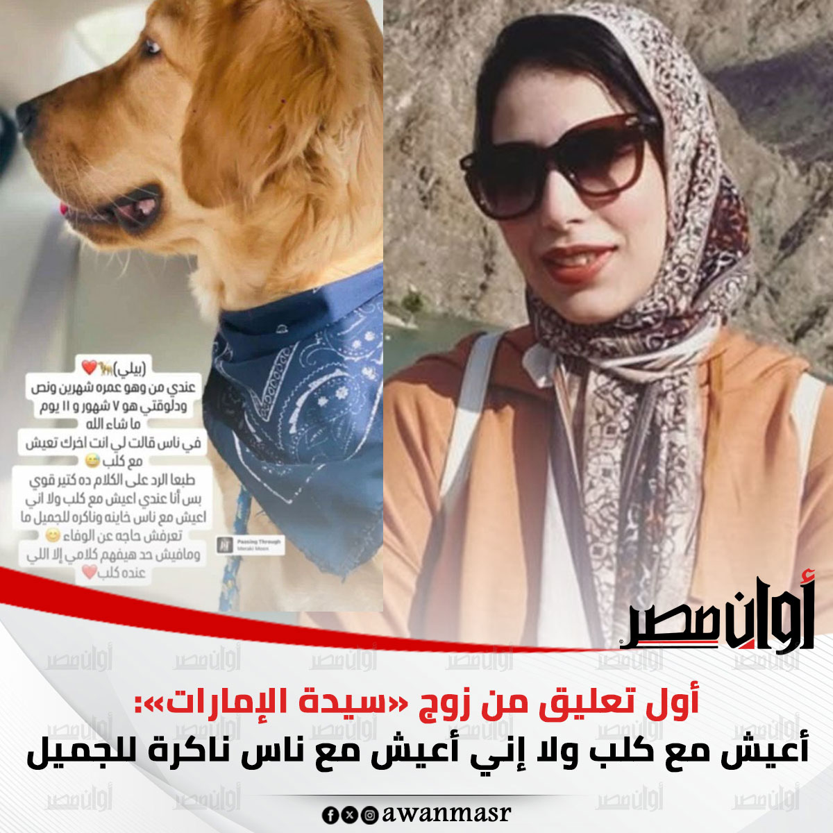 تحرك حكومي لإنقاذ ميار نبيل وابنتها المحتجزتين في الإمارات بواقعة تخلي زوجها عنها 4 استغاثة ميار نبيل