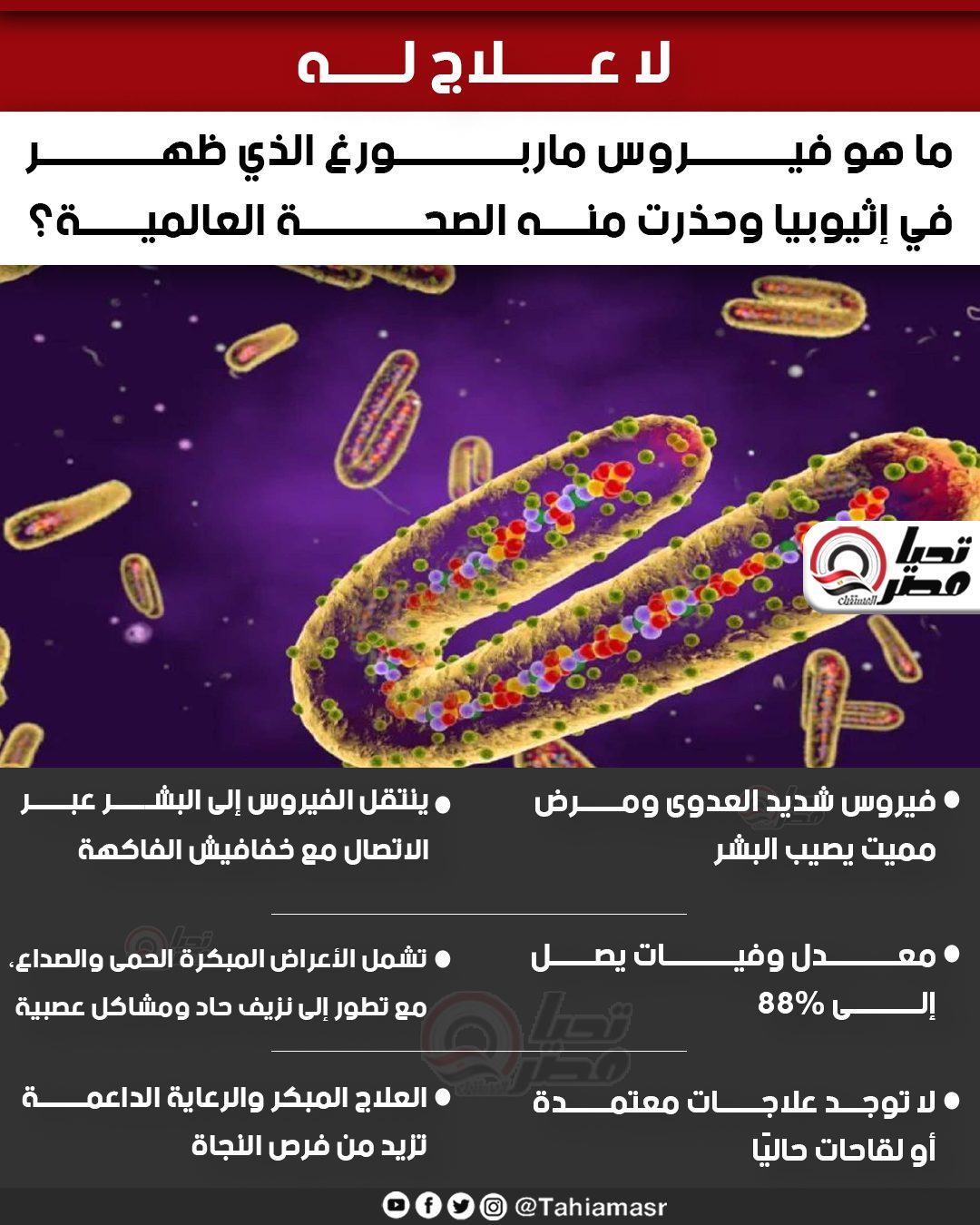أعرف كل ما يخص فيروس ماربورغ عقب ظهوره في إثيوبيا ووفاة اشخاص 2 فيروس ماربورغ
