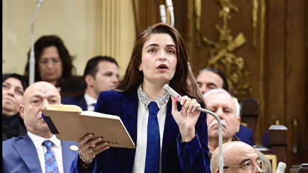 حذف مادة غير دستورية من قانون الرسوم الخارجية والنائبة إيرين سعد تكشف كواليس الواقعة 6 النائبة إيرين سعد