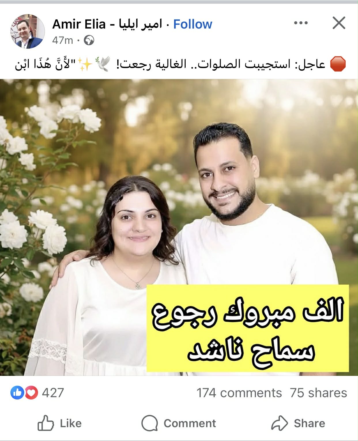 نادر شكري يؤكد عودة سماح ناشد عجيب إلى منزلها بسلام وأسرتها تشكر الأجهزة الأمنية على جهودها 5 عودة سماح ناشد عجيب