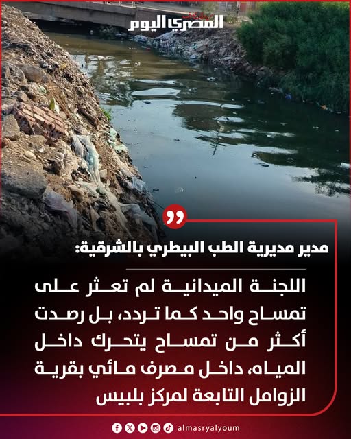 مفاجأة بشأن واقعة ظهور تماسيح داخل مصرف مائى بقرية الزوامل وأول تعليق من بيطري الشرقية 3 ظهور تماسيح داخل مصرف مائى