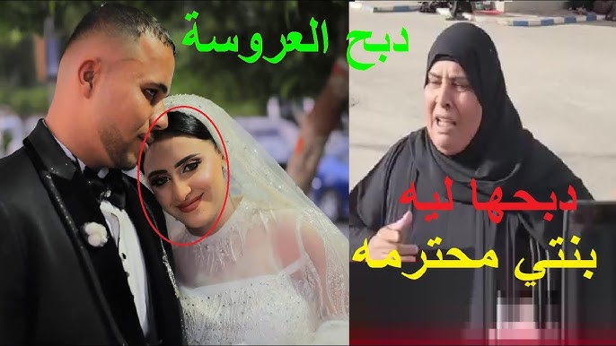 محامي قضية عروس المنوفية يكشف عن مفاجآت قانونية ومصير المتهم 5 عروس المنوفية