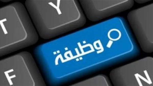 قدم الآن وظائف خالية بوزارة النقل شروط التقديم 4 وظائف خالية بوزارة النقل