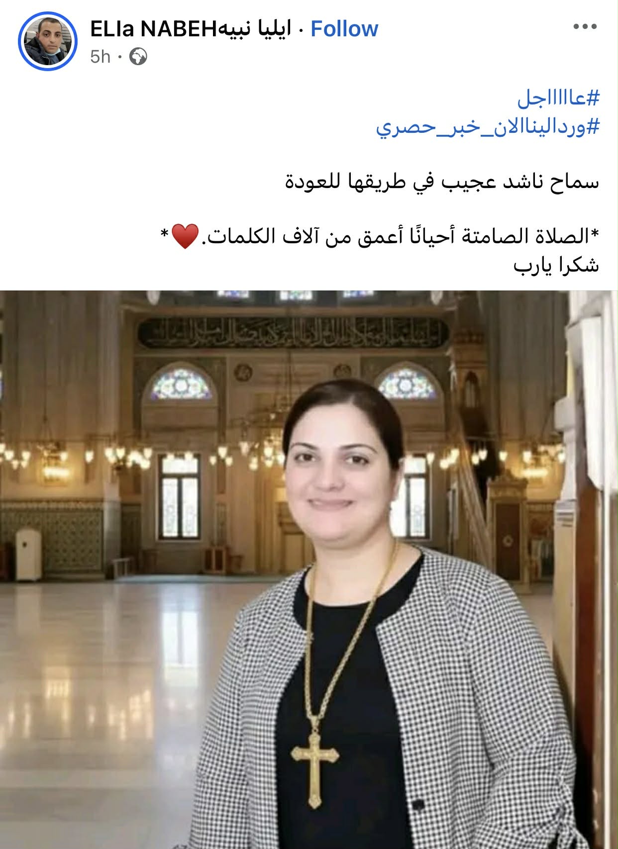 أنباء عن عودة سماح ناشد عجيب عقب رحلة اختفاء غامض في طريقها لاسرتها 4 ودة سماح ناشد عجيب