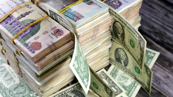 في ضربة أمنية حاسمة القبض على سيدة غسلت 50 مليون جنيه بالسوق السوداء 3 سيدة غسلت 50 مليون جنيه