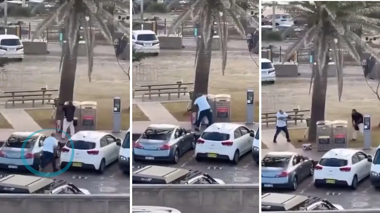 عقب هجوم سيدني حدث أمني في هولندا بمحيط حفل إسرائيلي 3 الشرطة الأسترالية تكشف هوية منفذي هجوم