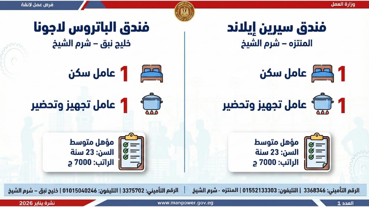 7293 فرص عمل متاحة في 12 محافظة اعرف الأماكن والراتب والتفاصيل 3 فرص عمل