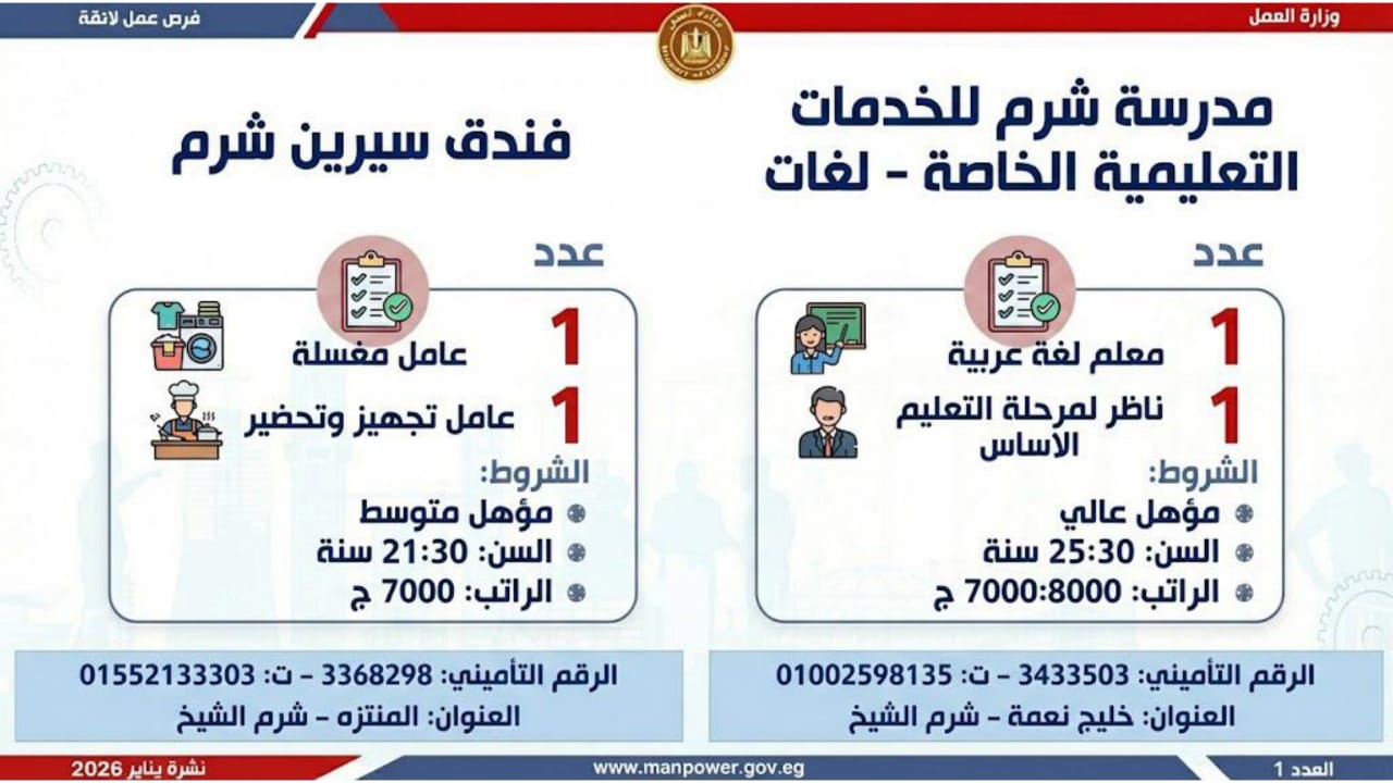 7293 فرص عمل متاحة في 12 محافظة اعرف الأماكن والراتب والتفاصيل 4 فرص عمل