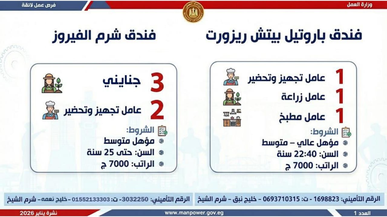 7293 فرص عمل متاحة في 12 محافظة اعرف الأماكن والراتب والتفاصيل 5 فرص عمل