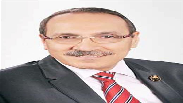 نجاح 24 نائبا تمثيل الأقباط في البرلمان المصري رحلة نحو تعزيز المواطنة والتوازن السياسي 4 الأقباط في البرلمان