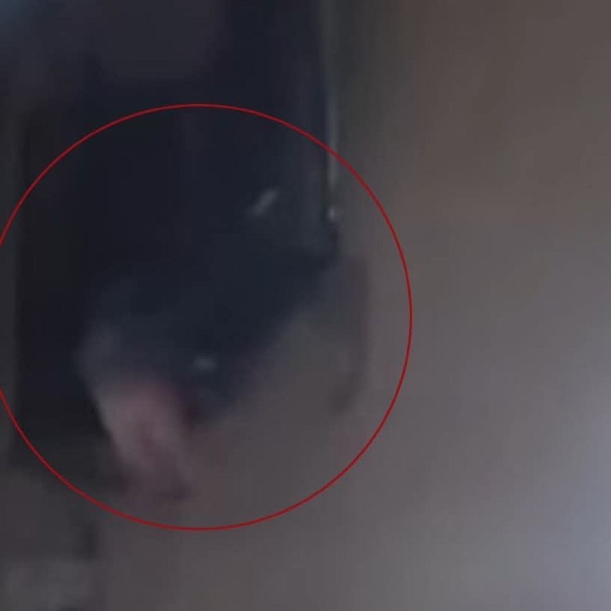 تفاصيل اتهام سيدة بإلقاء أبنائها من الطابق الثالث بالمطرية بعد إخلاء سبيلها 4 سيدة تلقي بصغار من الطابق الثالث