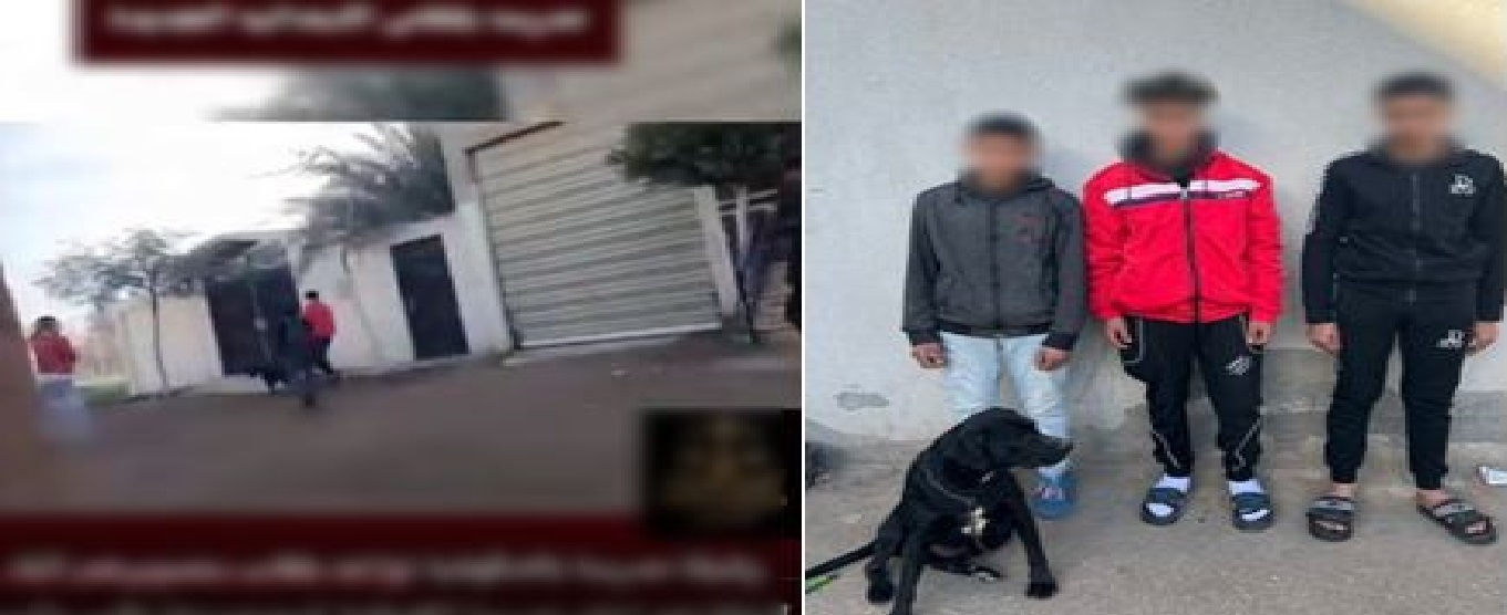 كشف ملابسات واقعة معلمة الدقهلية عقب إهانتها من 3 طلاب وتحريض كلب عليها لتخويفها 4 واقعة معلمة الدقهلية