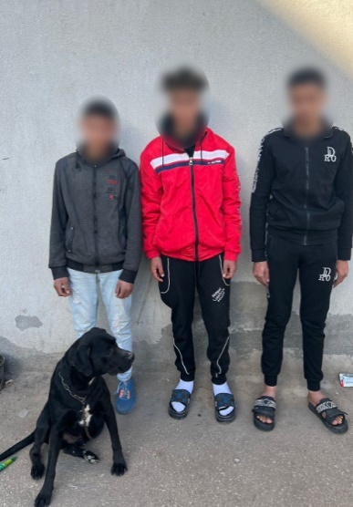 كشف ملابسات واقعة معلمة الدقهلية عقب إهانتها من 3 طلاب وتحريض كلب عليها لتخويفها 2 واقعة معلمة الدقهلية